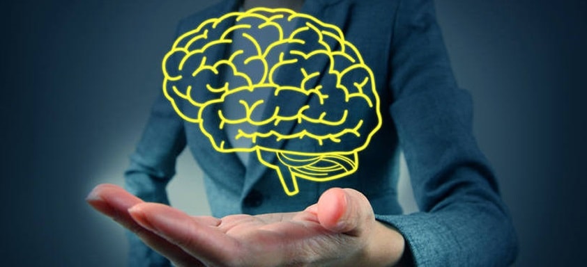Como a neurociência pode auxiliar em sala de aula